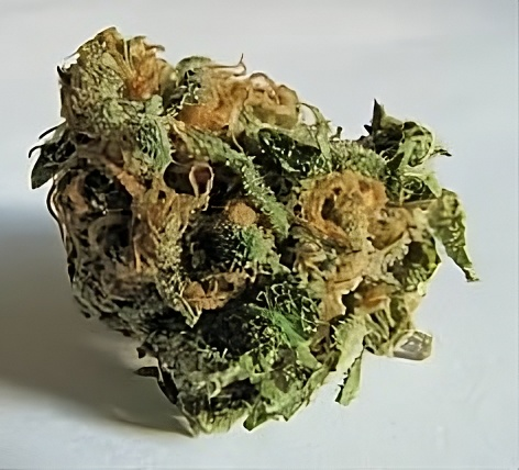 Genética de Cannabis Medicinal